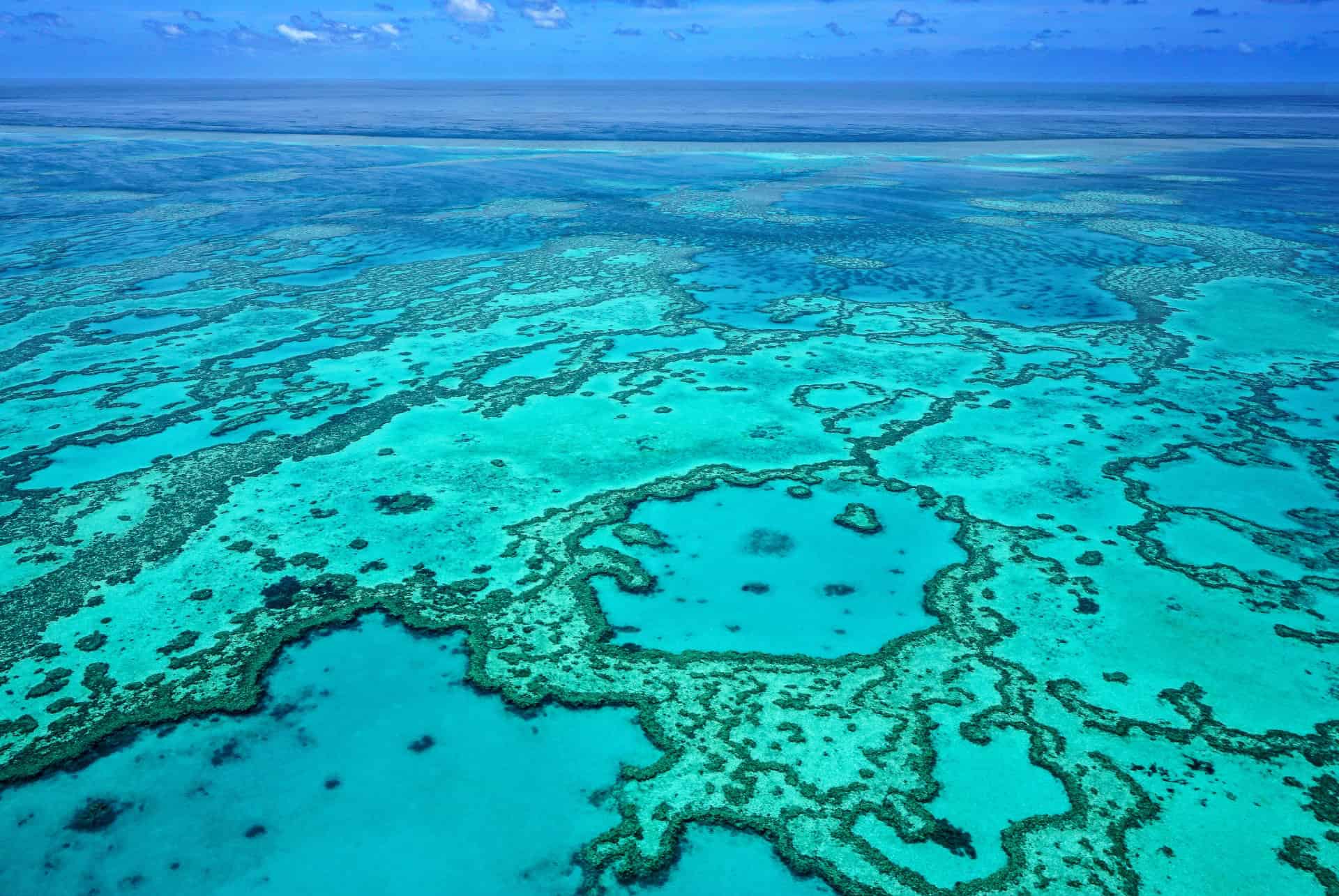grande barriere de corail road trip en australie grande barriere de corail